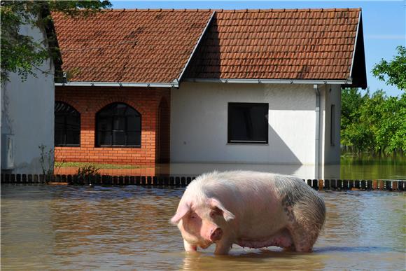 Evakuacija u županjskoj Posavini