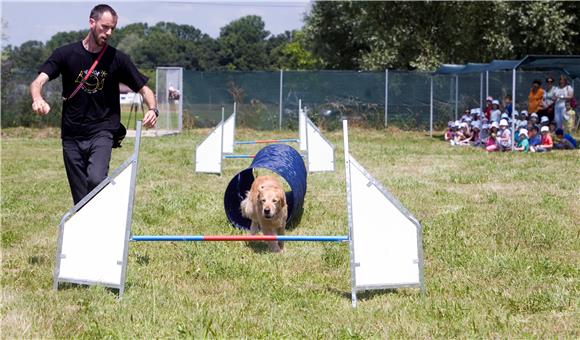 U Skloništu za životinje Dumovec otvoren Agility poligon 