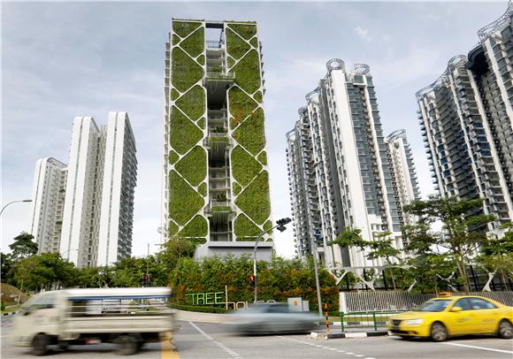 SINGAPORE VERTICAL GARDEN