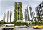 SINGAPORE VERTICAL GARDEN