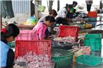 THAILAND SEAFOOD INDUSTRY US DOWNGRADE HUMAN TRAFFICKING REPORT