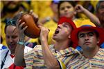 SP Brazil - Fifa zabrinuta zbog pijanstva na stadionima