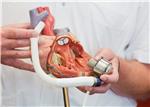 GERMANY MEDICINE ARTIFICIAL HEART