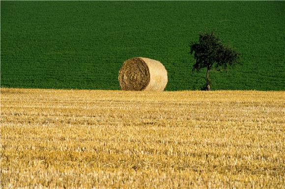 CZECH REPUBLIC HARVEST TIME FEATURE