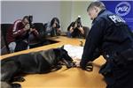 Policijski pas na granici nanjušio 6,3 kilograma heroina