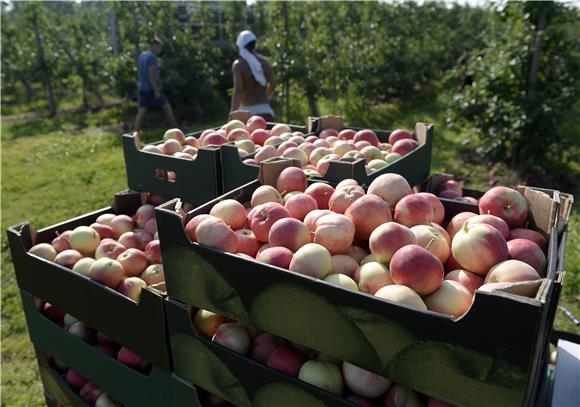 POLAND AGRICULTURE