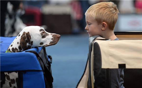 GERMANY ANIMALS FAIR