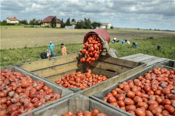 POLAND AGRICULTURE