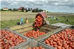 POLAND AGRICULTURE