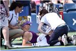 USA TENNIS US OPEN GRAND SLAM 2014