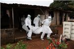 FAO: ebola prijeti sigurnosti hrane u zapadnoj Africi