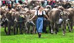 GERMANY AGRICULTURE TRADITIONS