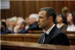 Nastavljeno izricanje presude Pistoriusu