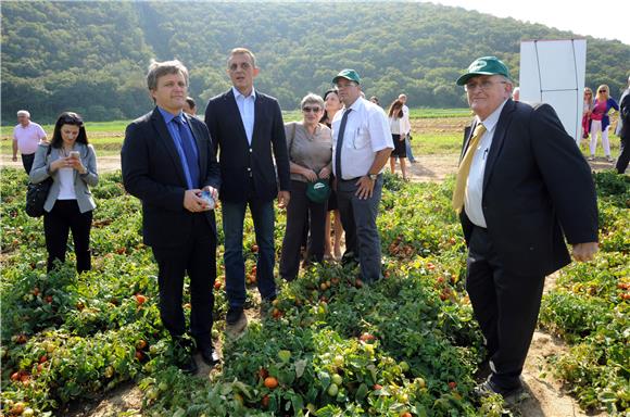 Podravka predstavila rezultate suvremene tehnologije uzgoja rajčice u Istri