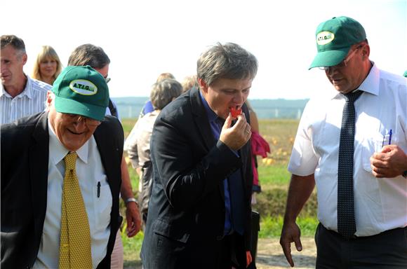 Podravka predstavila rezultate suvremene tehnologije uzgoja rajčice u Istri