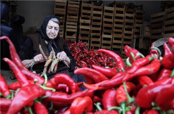 SERBIA RED PEPPERS 