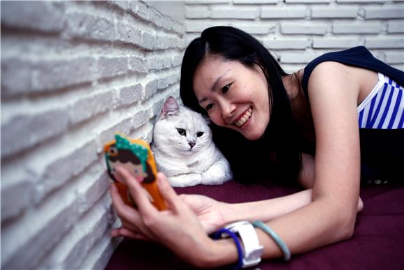 THAILAND CAT CAFE