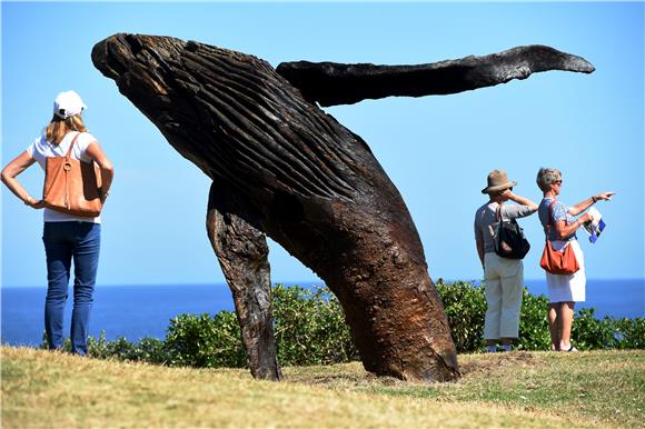 AUSTRALIA SCULPTURE BY THE SEA