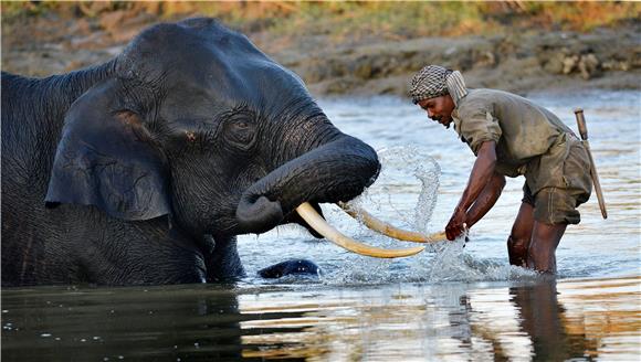 INDIA NATIONAL PARK