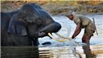 INDIA NATIONAL PARK