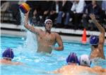 Vaterpolo: Mladost - Pro Recco 12.11.2014