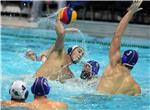 Vaterpolo: Mladost - Pro Recco 12.11.2014