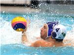 Vaterpolo: Mladost - Pro Recco 12.11.2014