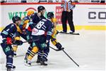 KHL liga: Medveščak - Atlant 14.11.2014.