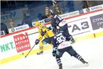 KHL liga: Medveščak - Atlant 14.11.2014.