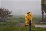 NETHERLANDS BIRD FLU