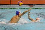 Vaterpolo:Mornar BS - Crvena zvezda 06.12.2014