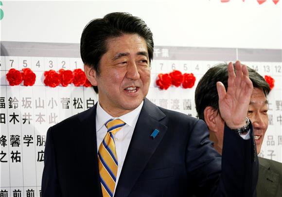 JAPAN ELECTIONS