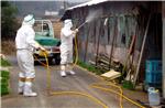 FILE JAPAN BIRD FLU