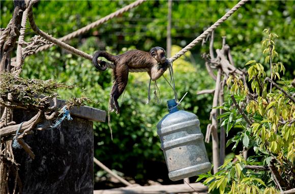 Zoolimpijada u zagrebačkom ZOO-u od 2. do 11. siječnja