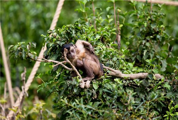 Zoolimpijada u zagrebačkom ZOO-u od 2. do 11. siječnja