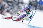 AUSTRIA ALPINE SKIING WORLD CUP