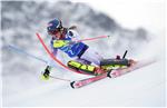 AUSTRIA ALPINE SKIING WORLD CUP