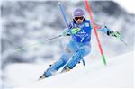 AUSTRIA ALPINE SKIING WORLD CUP