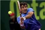 ATP Doha: Poraz Dodiga