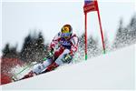 Veleslalom Adelboden: Pobjeda Hirschera, Zubčić 28.