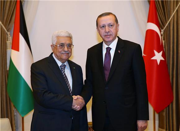 TURKEY PALESTINE DIPLOMACY