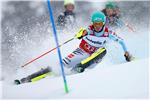 Neureutheru slalom u Wengenu