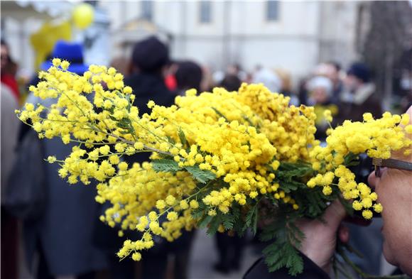 Prigodnom prodajom mimoza obilježen Nacionalni dan borbe protiv raka vrata maternice 