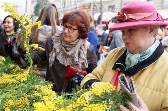 Prigodnom prodajom mimoza obilježen Nacionalni dan borbe protiv raka vrata maternice 