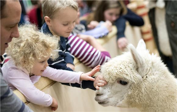 GERMANY AGRICULTURE GREEN WEEK FAIR