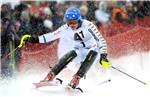 AUSTRIA ALPINE SKIING WORLD CUP