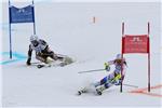 USA ALPINE SKIING WORLD CHAMPIONSHIPS 2015