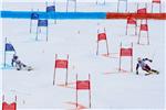 USA ALPINE SKIING WORLD CHAMPIONSHIPS 2015