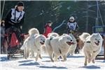 GERMANY SLED DOG RACING