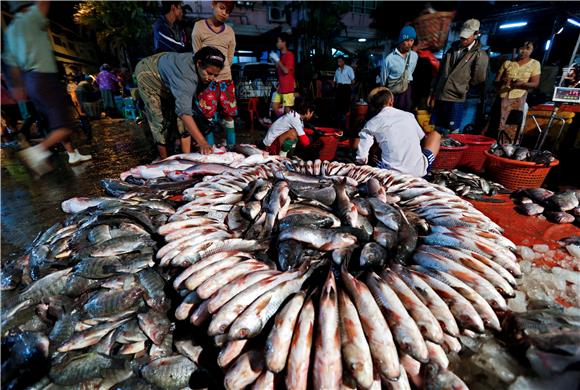 MYANMAR FISHERY MARKET